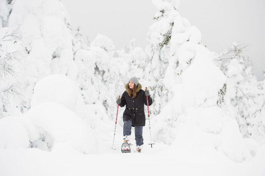 Pyhätunturi: Scenic Snowshoeing Tour in Finnish Lapland - Is $133 a fair price?