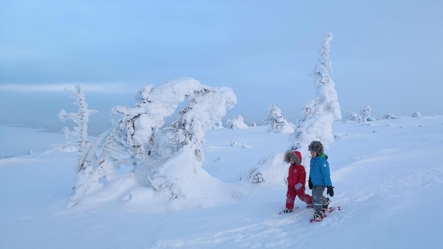 Pyhätunturi: Scenic Snowshoeing Tour in Finnish Lapland - Who will enjoy this Pyhä snowshoe tour?