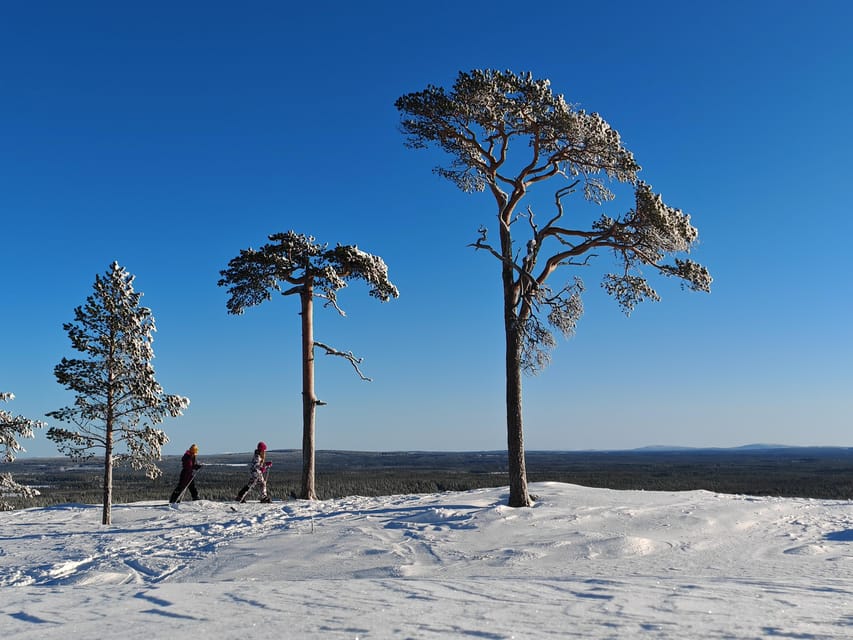 Pyhätunturi: Try Wilderness Skiing in Finnish Lapland - Why families may find this a good fit