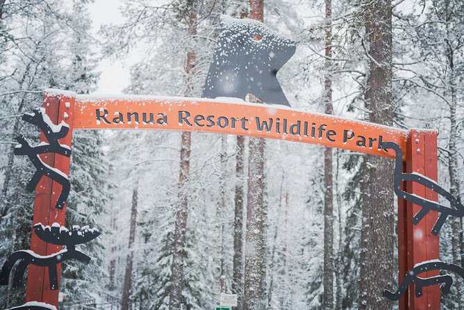 Ranua Wildlife Park Day: Visit the Arctic Animals - Walking the 2.5-Kilometer Wildlife Route