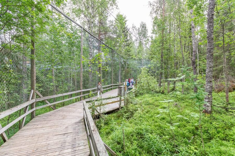 Ranua: Wildlife Park Entrance Ticket - Is Ranua Wildlife Park worth booking?