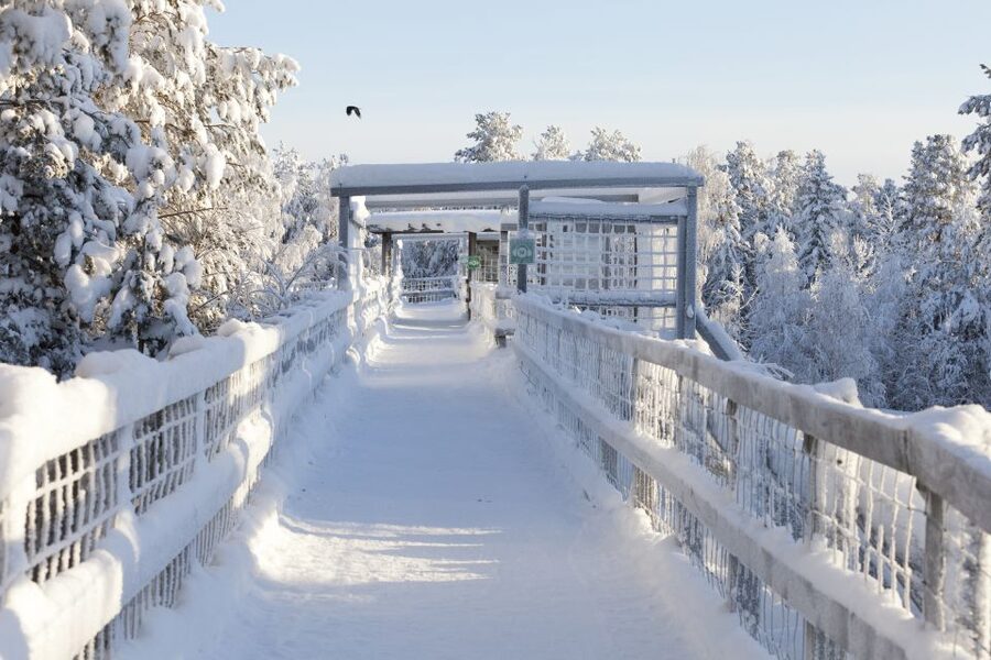 Ranua Wildlife Park Guided Tour from Rovaniemi - Who should book this tour?