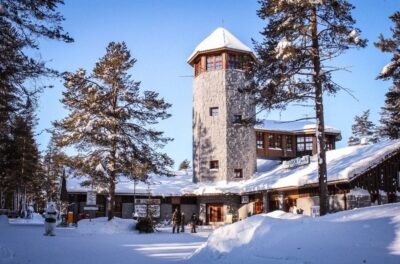 Ranua Wildlife Park Guided Tour from Rovaniemi
