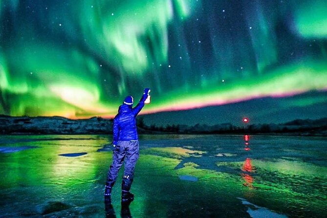Reflections of the Northern Lights - A forest viewpoint built around patience