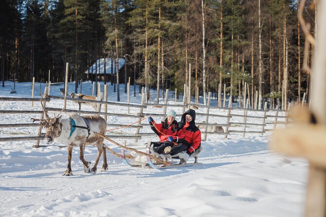 Reindeer Experience with Sledge Ride - Is the $104.76 price fair?