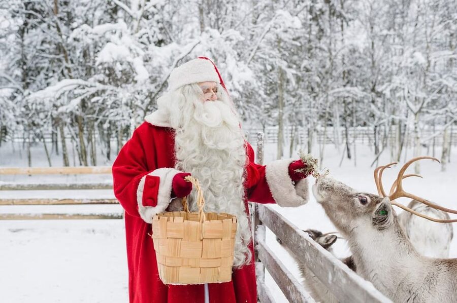 Reindeer Farm Visit with Sleigh Ride - Is $140 a fair price?
