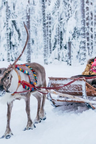 Reindeer Farm Visit with Sleigh Ride