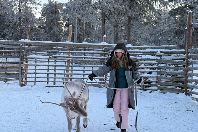 Reindeer Husbandry with Snowmobile Sleigh Ride and Cabin Lunch - Who will get the most from this outing