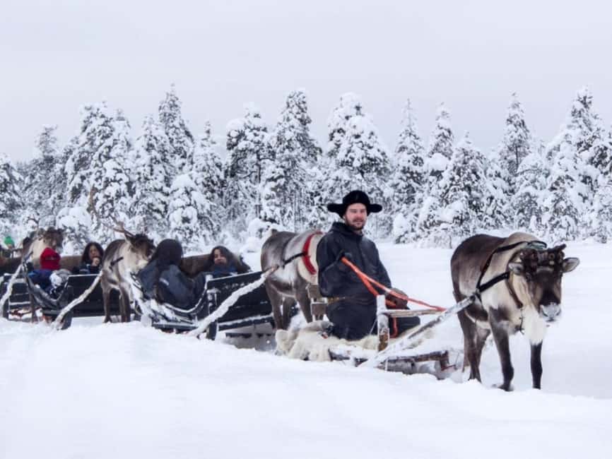 Reindeer Safari at a 200-Year-Old Farm & Long Sled Ride - Why the small group changes the visit