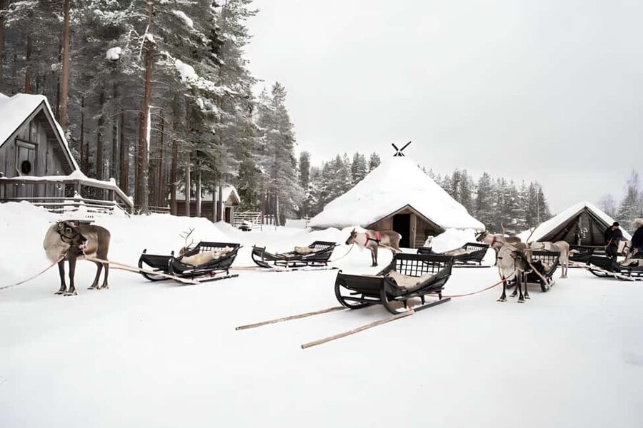 Reindeer Safari at a 200-Year-Old Farm & Long Sled Ride - The real value at $260
