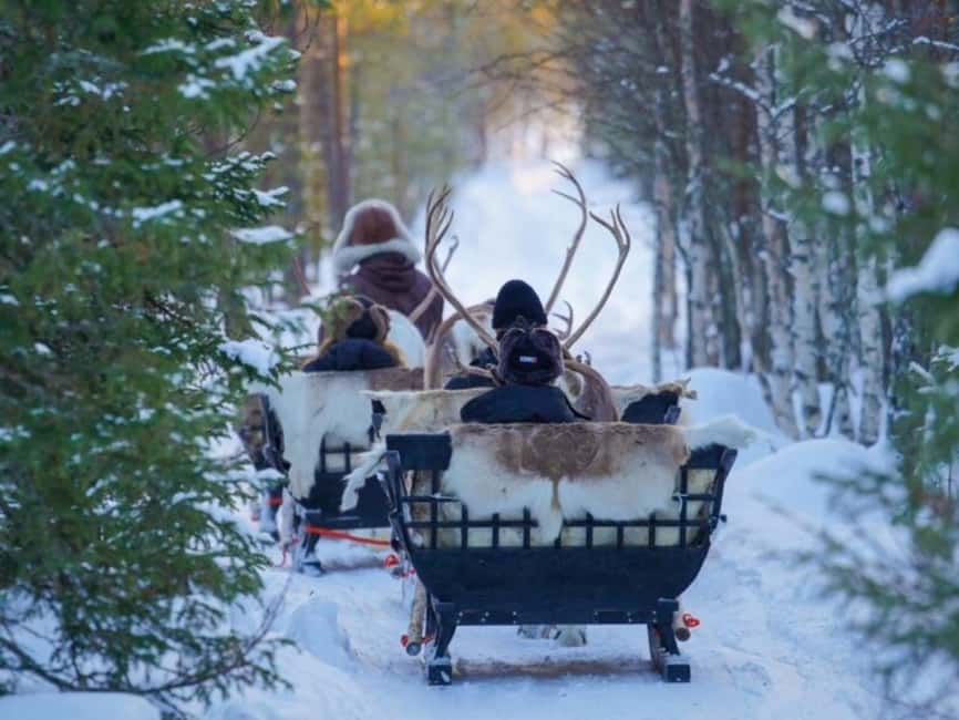 Reindeer Safari at a 200-Year-Old Farm & Long Sled Ride - Who will enjoy this reindeer safari