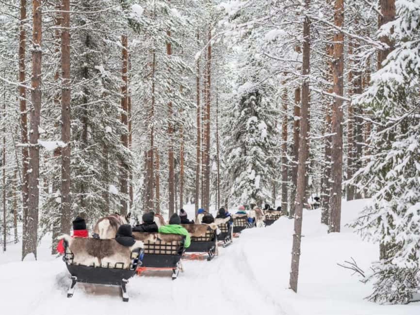 Reindeer Safari at a 200-Year-Old Farm & Long Sled Ride - What to pack for the Arctic cold