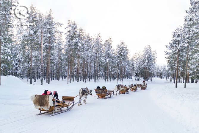 Reindeer Safari in Arctic Wilderness - What the $238.85 price covers
