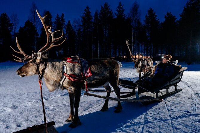 Reindeer Sleigh Ride Across the Night in Apukka Resort Rovaniemi - Getting to Apukka for the 8:30 p.m. start