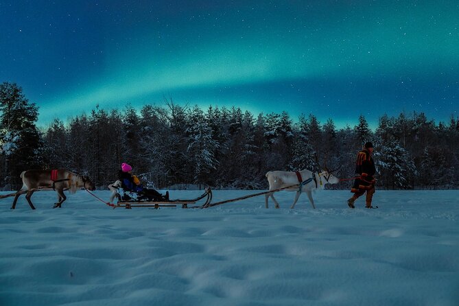 Reindeer Sleigh Ride Across the Night in Apukka Resort Rovaniemi - Into the forest by reindeer sleigh