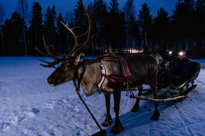 Reindeer Sleigh Ride Across the Night in Apukka Resort Rovaniemi - The campfire break with hot food and drinks