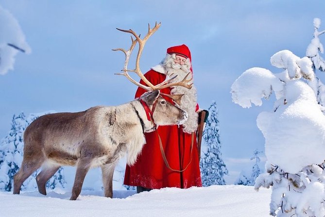 Reindeer Sleigh Ride and Farm Experience from Rovaniemi - Meeting Lapland’s most famous animals