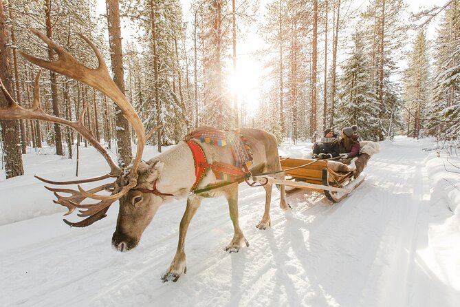 Reindeer Sleigh Ride and Farm Experience from Rovaniemi - Who will enjoy this experience most?