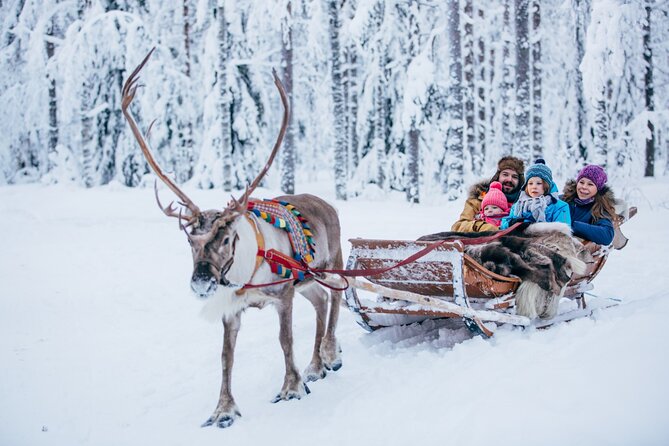 Reindeer Sleigh Ride and Farm Experience from Rovaniemi - What happens from the city center onward