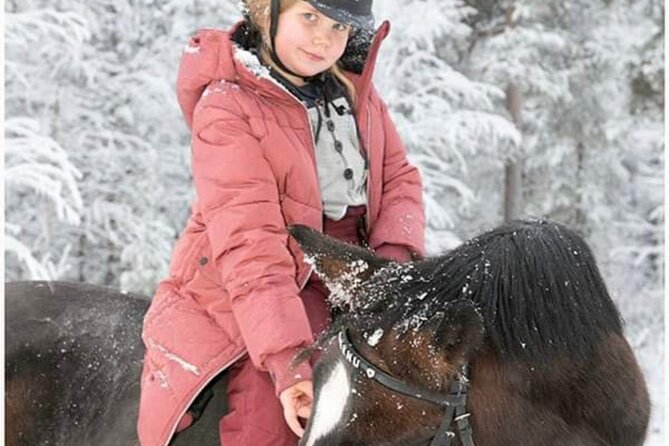 Riding Tour with Finnhorses at Santa Claus Village - A quiet hour beyond the Christmas crowds