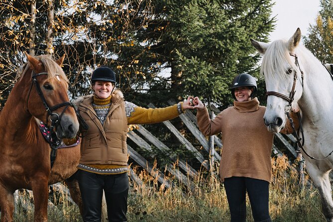Riding Tour with Finnhorses at Santa Claus Village - How the snowy forest ride works