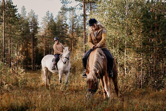 Riding Tour with Finnhorses at Santa Claus Village - Dressing for a one-hour ride in Finnish winter