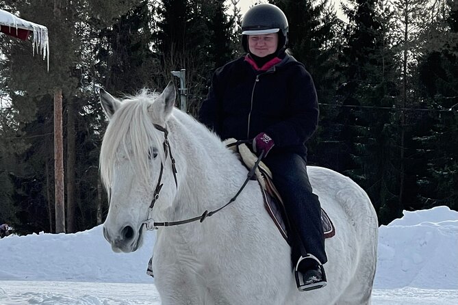 Riding Tour with Finnhorses at Santa Claus Village - Is $126.03 good value for one hour?