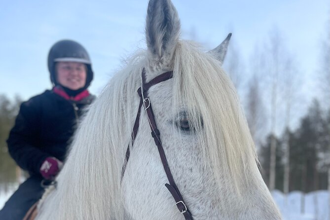 Riding Tour with Finnhorses at Santa Claus Village - Meeting the Finnhorses at Aurora Horses
