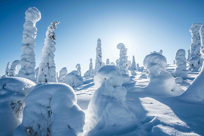 Riisitunturi wilderness adventure - Lunch, hot drinks, and the practical comforts