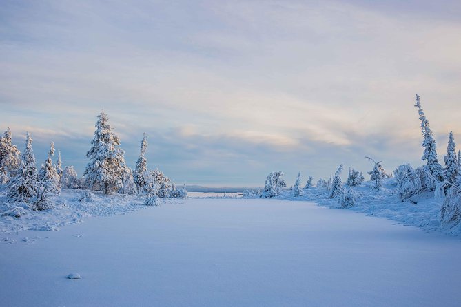 Riisitunturi wilderness adventure - Final decision: a strong choice for nature and photos