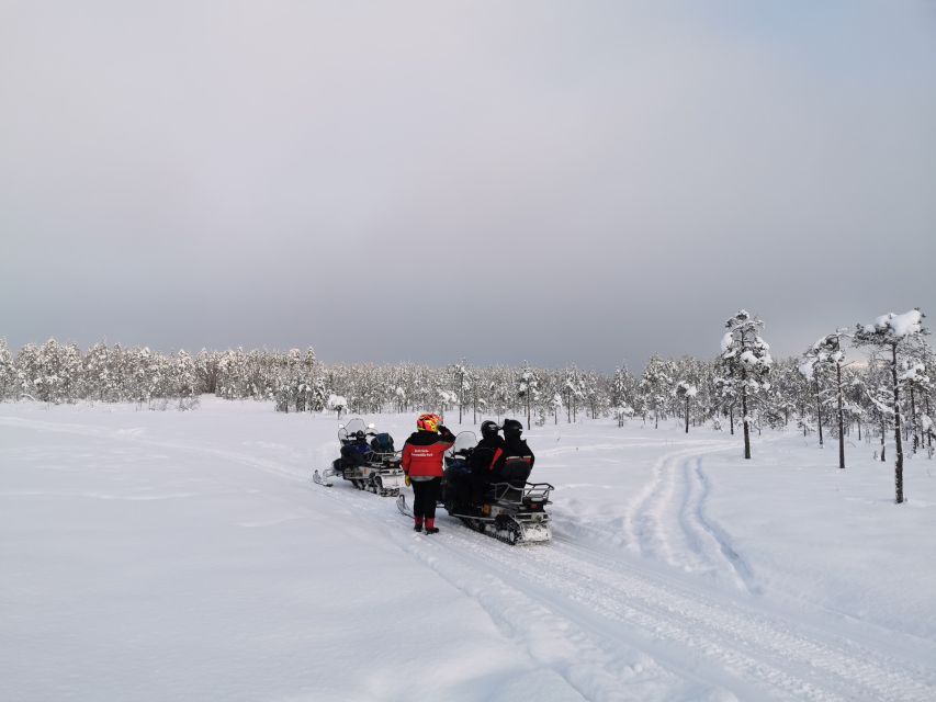 Rovaniemi: 3-Hour Snowmobile Safari in Lapland - Photo stops and the rhythm of the ride