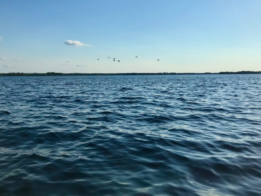 Rovaniemi: All-Day Canoe Adventure - Dressing for a northern outdoor day