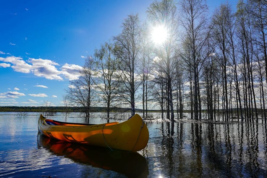 Rovaniemi: All-Day Canoe Adventure - Transport, timing, and group size