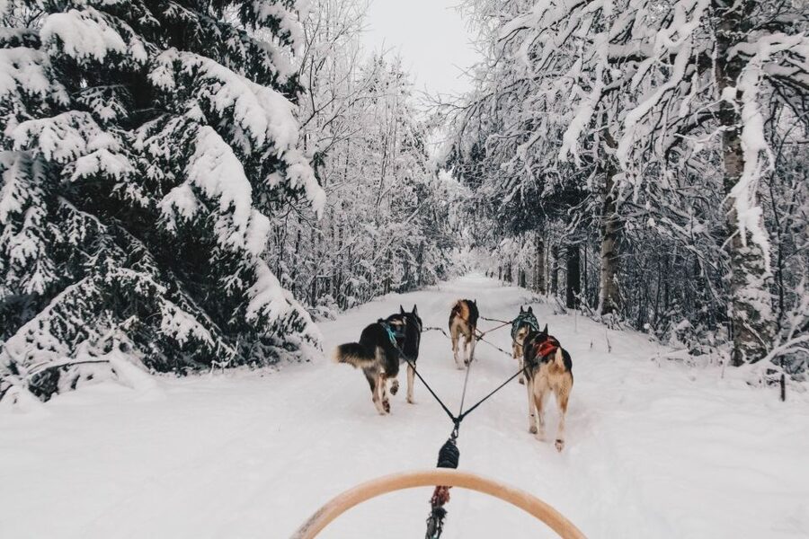Rovaniemi: Apukka Husky Adventure - Warm clothing makes a real difference