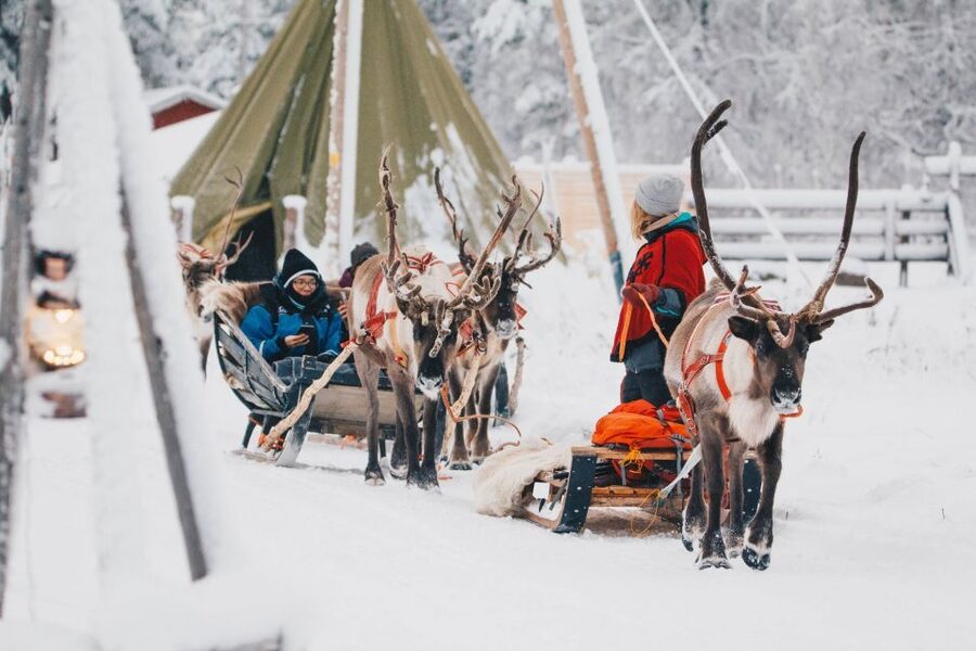 Rovaniemi: Apukka Reindeer Journey - A quiet start at Apukka Resort
