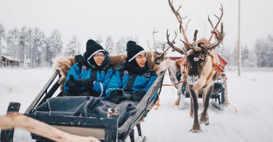 Rovaniemi: Apukka Reindeer Journey - Meeting the reindeer up close