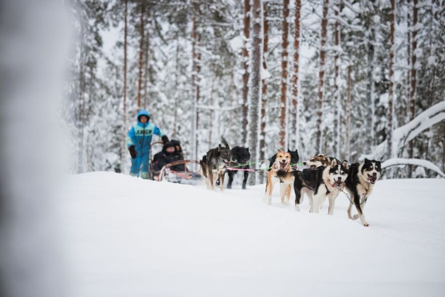 Rovaniemi: Arctic Circle Highlights by Snowmobile - Why this one-day Arctic combination works