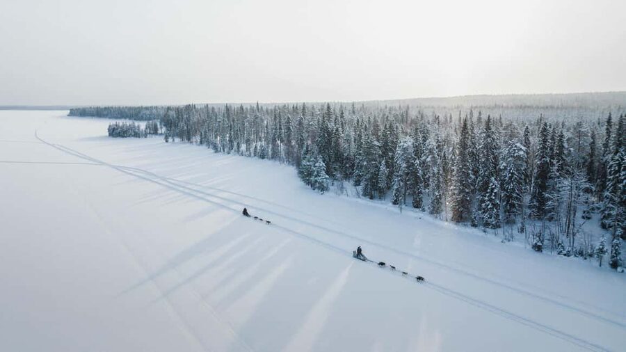 Rovaniemi: Arctic Circle Long Trail Husky Adventure - Taking the reins on a 7 km husky safari