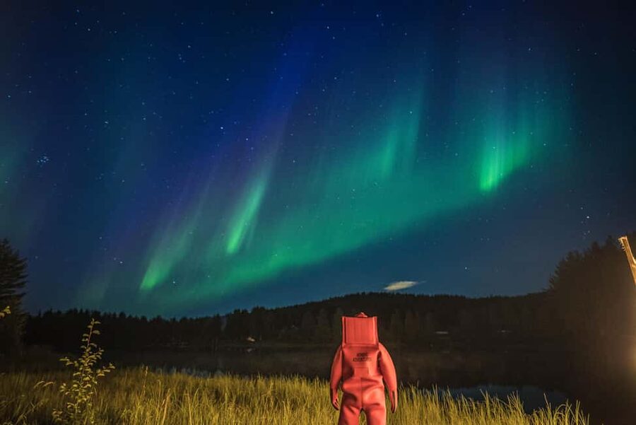 Rovaniemi: Arctic Ice Floating and Northern Lights Tour - Who will enjoy this most