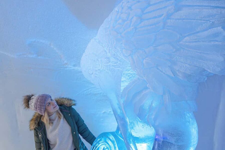 Rovaniemi: Arctic Snow Hotel Tour - Why the Arctic SnowHotel is worth seeing
