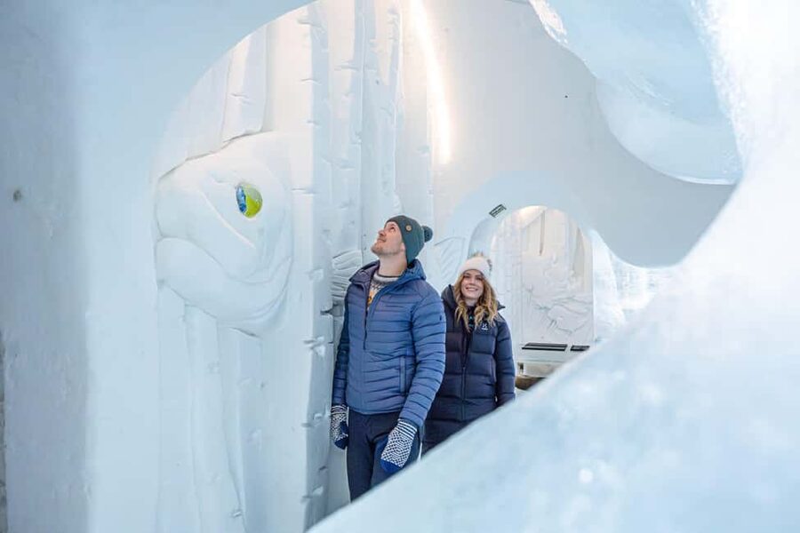 Rovaniemi: Arctic Snow Hotel Tour - Who will enjoy this tour most?