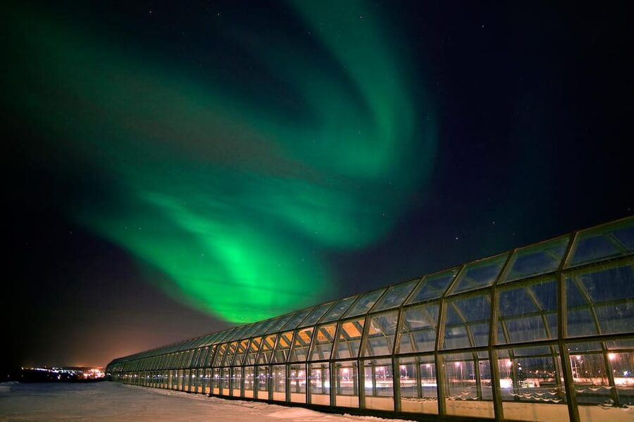 Rovaniemi: Arktikum Science Centre and Museum Entry Ticket - Key points to know before you go
