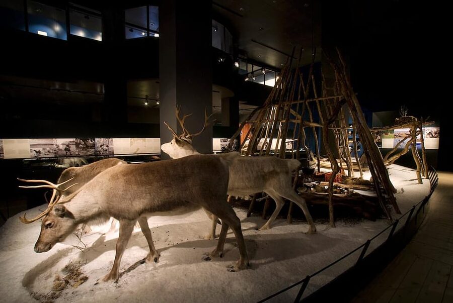 Rovaniemi: Arktikum Science Centre and Museum Entry Ticket - Finnish and Lapland history in plain language