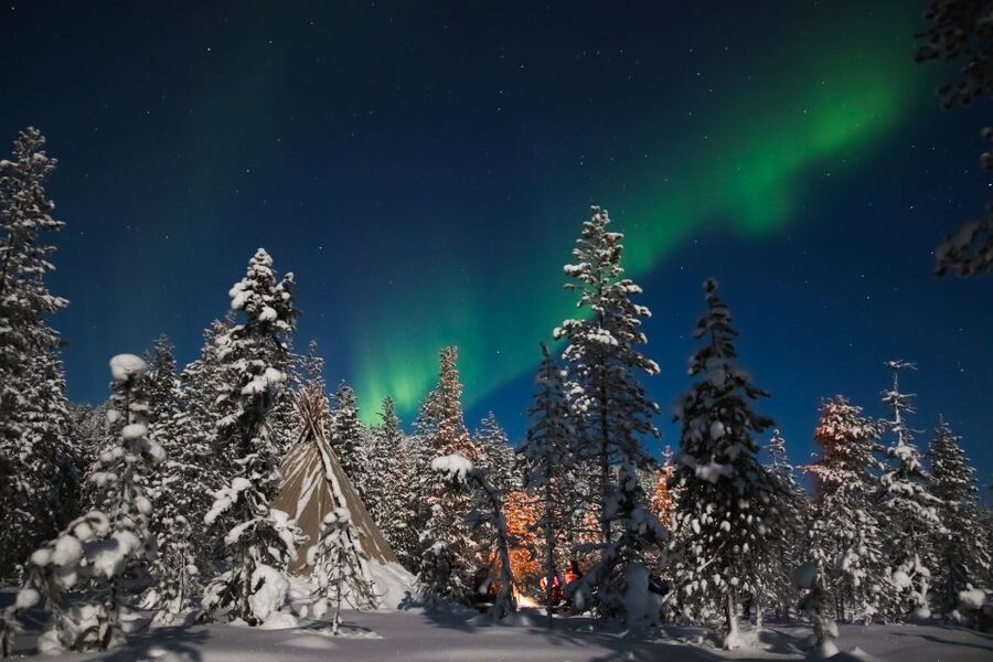 Rovaniemi: Aurora Borealis and Picnic - Key points to know before you book