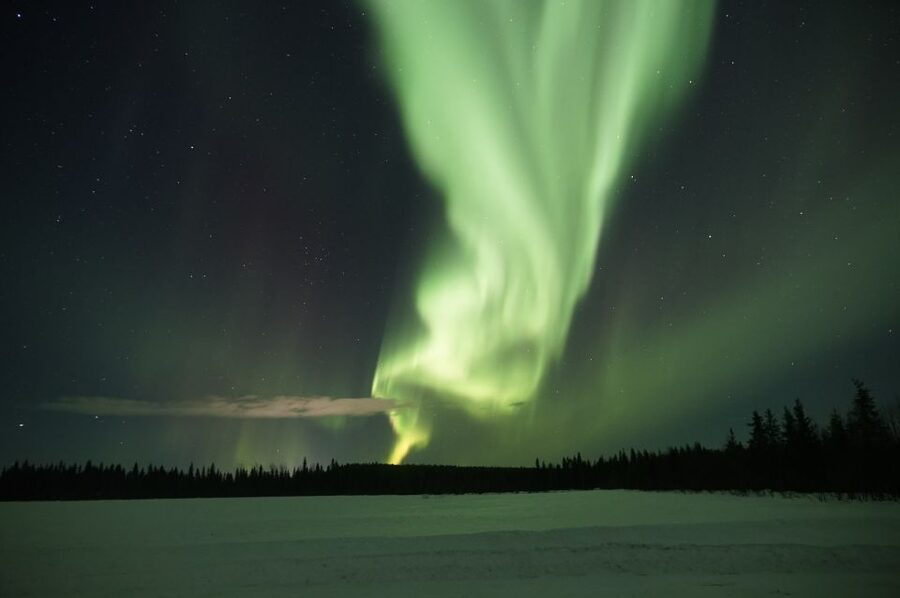 Rovaniemi: Aurora Borealis and Picnic - What the guide adds to the evening