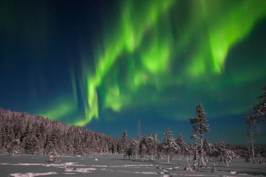 Rovaniemi: Aurora Borealis and Picnic - The two-hour outdoor reality