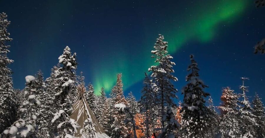 Rovaniemi: Aurora Borealis and Picnic - A warm campfire in the snowy forest