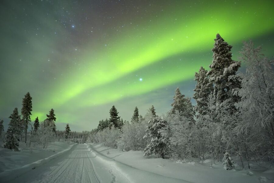 Rovaniemi: Aurora Borealis Snowmobile Safari with Campfire - Key points at a glance