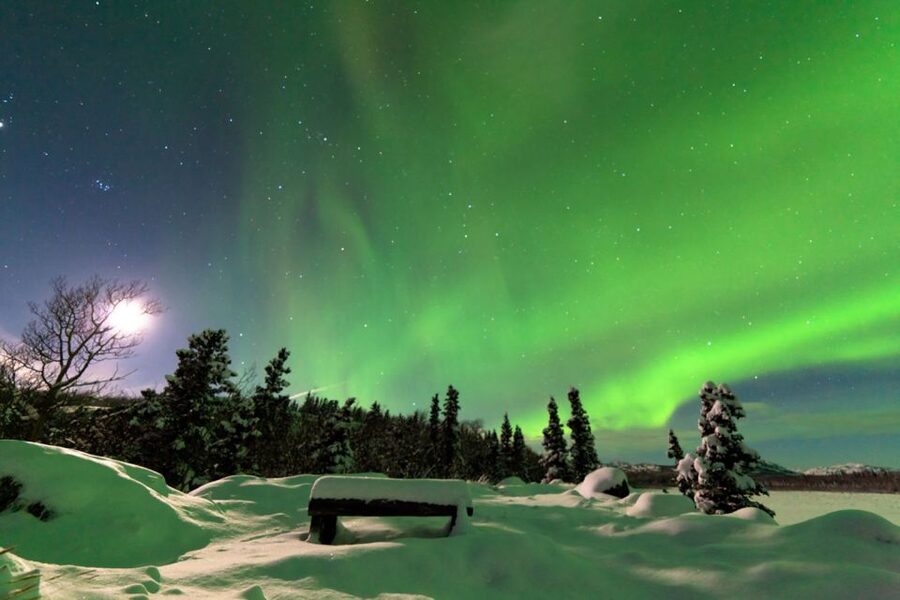Rovaniemi: Aurora Borealis Snowmobile Safari with Campfire - Sharing a snowmobile and finding your pace