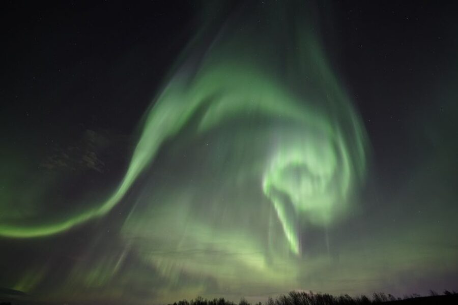 Rovaniemi: Aurora Borealis Tour - Timing, clothing, and small details that matter